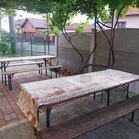 Готель Casa Andreea Новачі-Страіні Екстер'єр фото