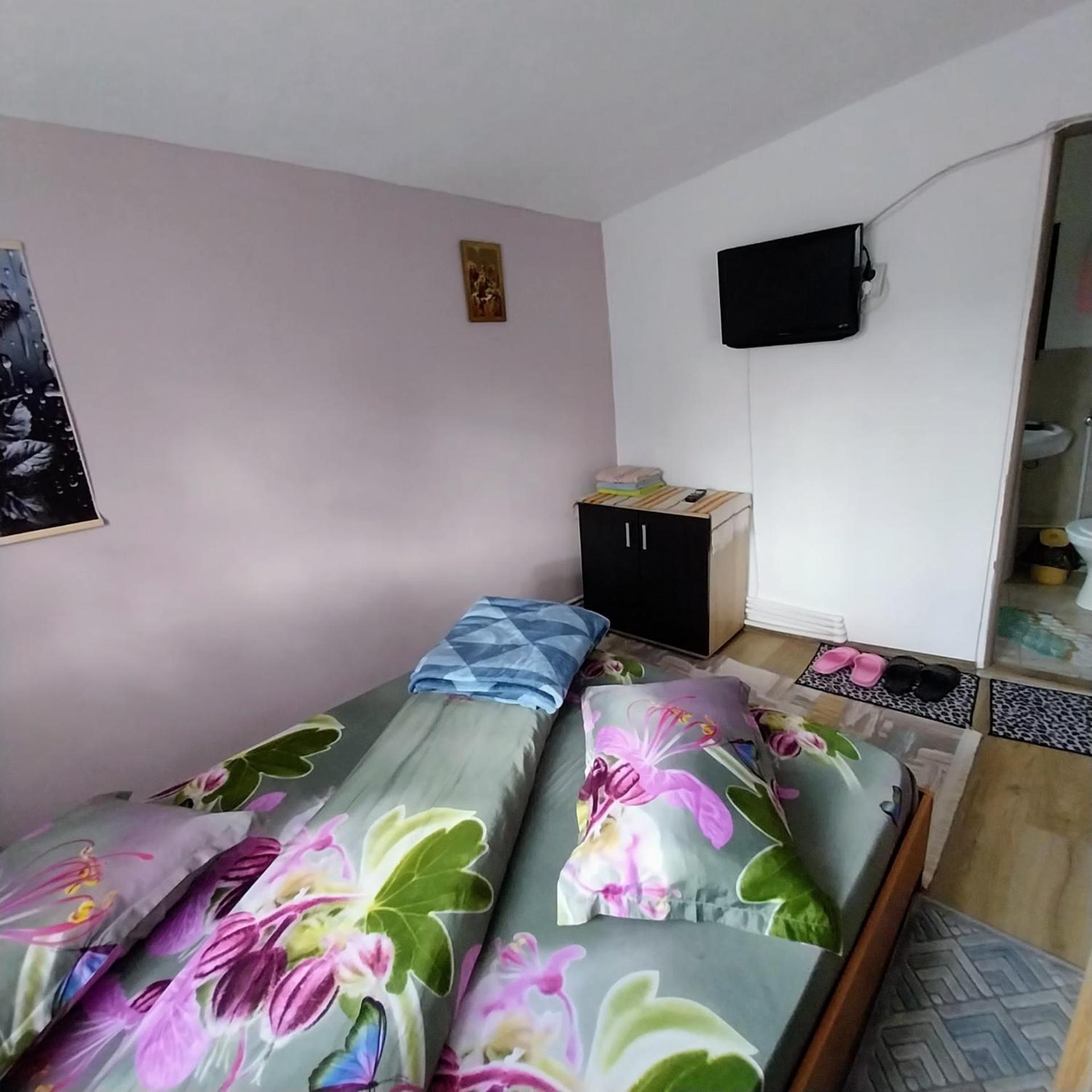 Готель Casa Andreea Новачі-Страіні Екстер'єр фото